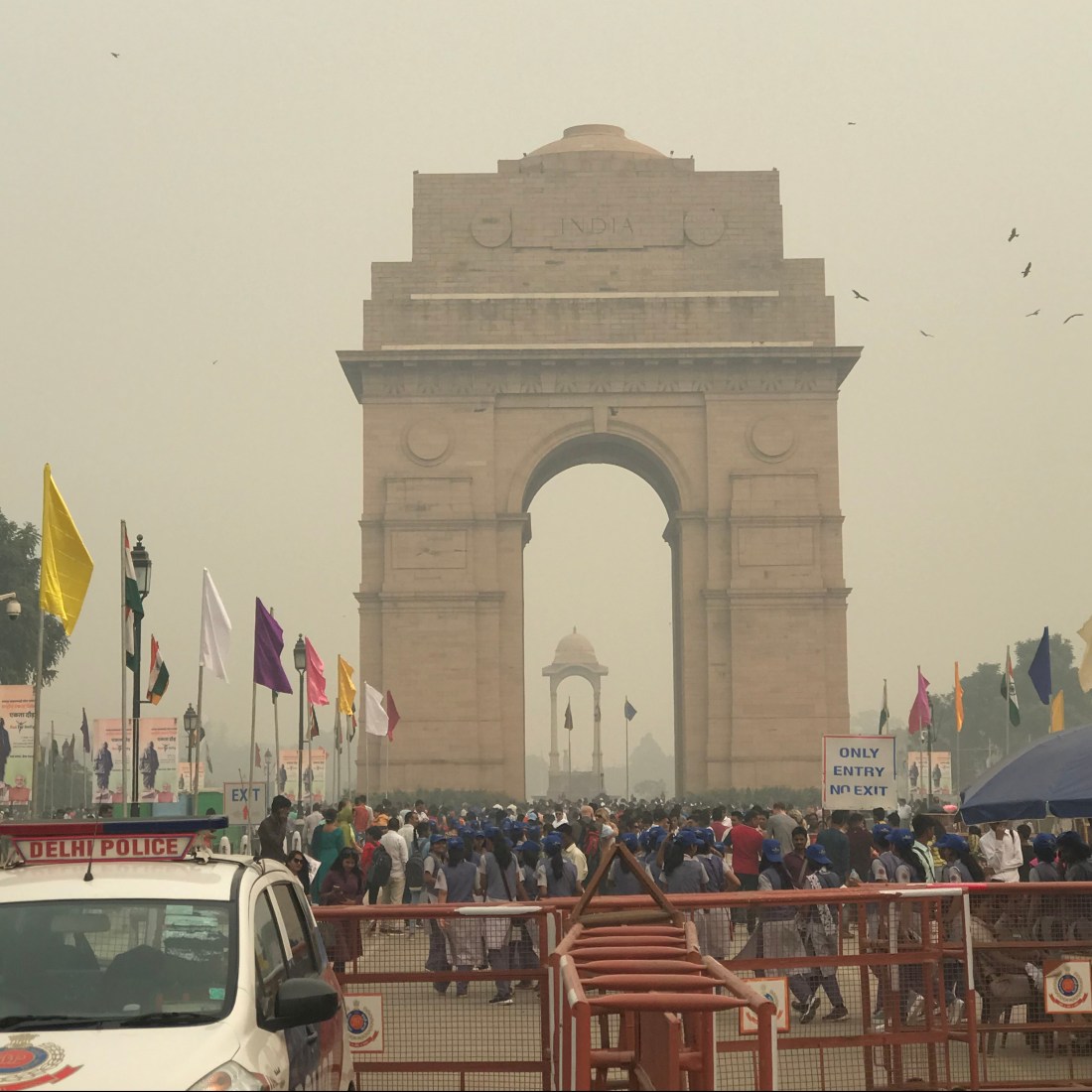 image_c86cc869-e3f7-49a3-a1f9-8c09db2159b2.img_6349_original